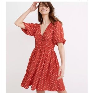 Madewell Sophia Minidress in Bandana Flower